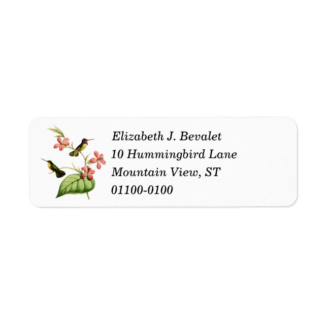 Costa's Hummingbird Return Address Labels (Front)