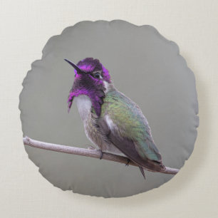Costa's hummingbird round cushion