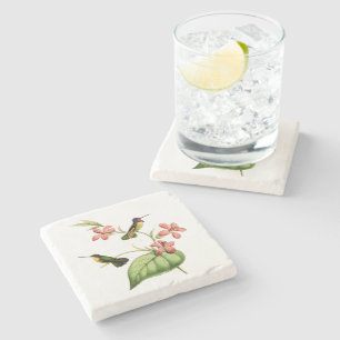 Costa's Hummingbird Stone Coaster