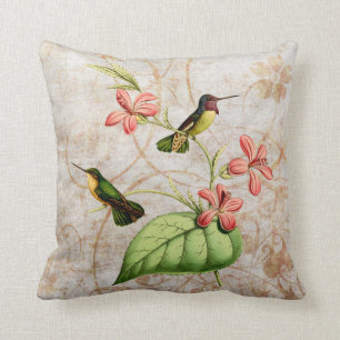Costa's Hummingbird Vintage Grunge Pillow