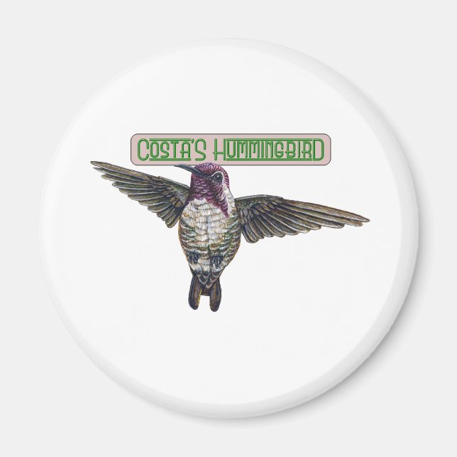 Costas Hummingbird with Banner Magnet (Front)