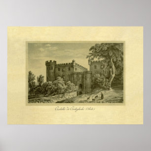 Costigliole d'Asti , Piedmont, Italy Poster