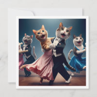 Costume party, Ballroom dance party, cat 