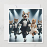 Costume party, Tap dance, Dance party, cat