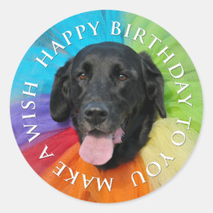 Costumed Black Lab Happy Birthday Classic Round Sticker
