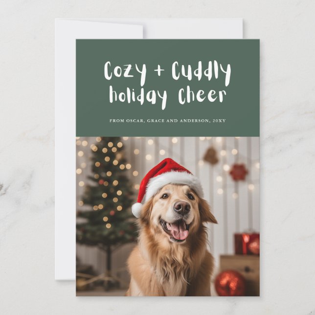 Cosy and Cuddly Cheer Green Cute Pet Family Photo Holiday Card (Front)
