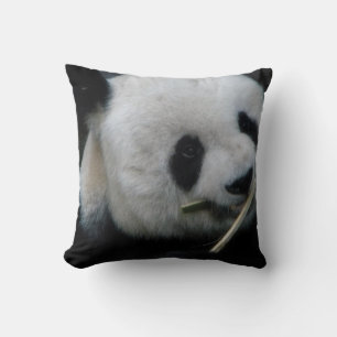 Cosy Animal Decor Cushion