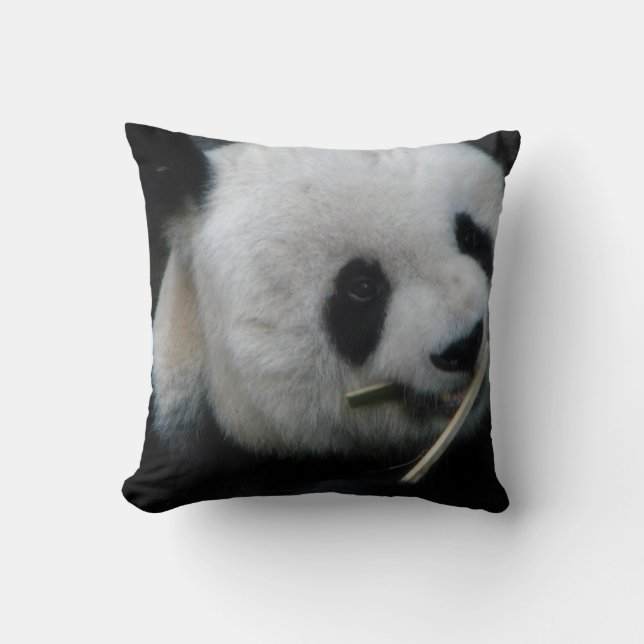 Cosy Animal Decor Cushion (Front)