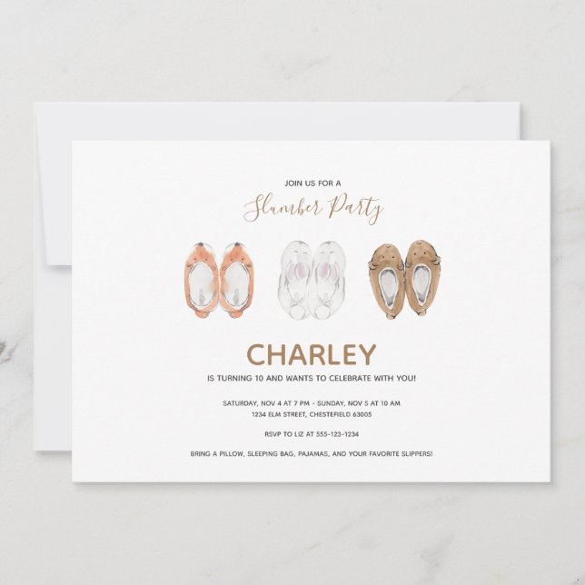 Cosy Animal Slippers Slumber Birthday Party Invitation (Front)