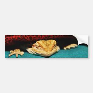 Cosy Bearded Dragon Bumper Sticker