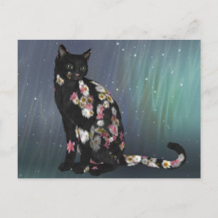 Cosy Black Daisy Cat Postcard