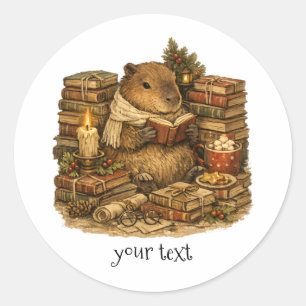 Cosy Capybara Reading Books Christmas Gift Classic Round Sticker
