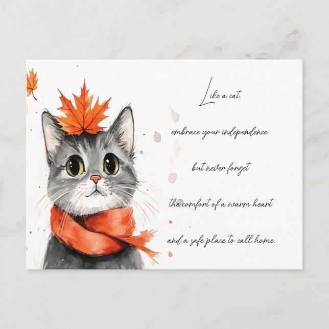 Cosy Cat in a Scarf  Postcard (Front)
