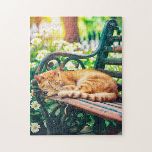 Cosy Cat Sleeping in Garden on Bench Jigsaw Puzzle