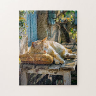 Cosy Cat Sleeping in Garden on Bench Jigsaw Puzzle