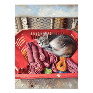 Cosy Cat Sleeping in Red Basket Filled with Ropes Photo Print