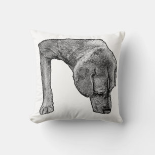 Cosy Chair, Dotty Scout Cushion