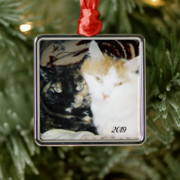 Cosy Cheek to Cheek Cats Photo with Year Metal Tree Decoration