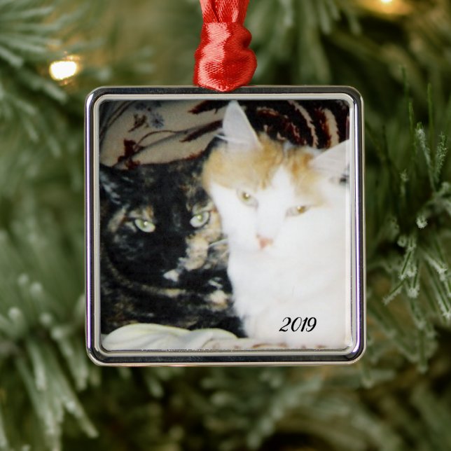 Cosy Cheek to Cheek Cats Photo with Year Metal Tree Decoration (Tree)