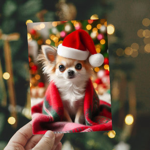 Cosy Chihuahua Christmas Card