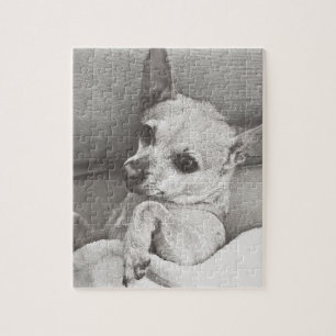 Cosy Chihuahua Puzzle