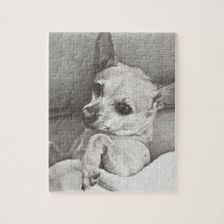 Cosy Chihuahua Puzzle