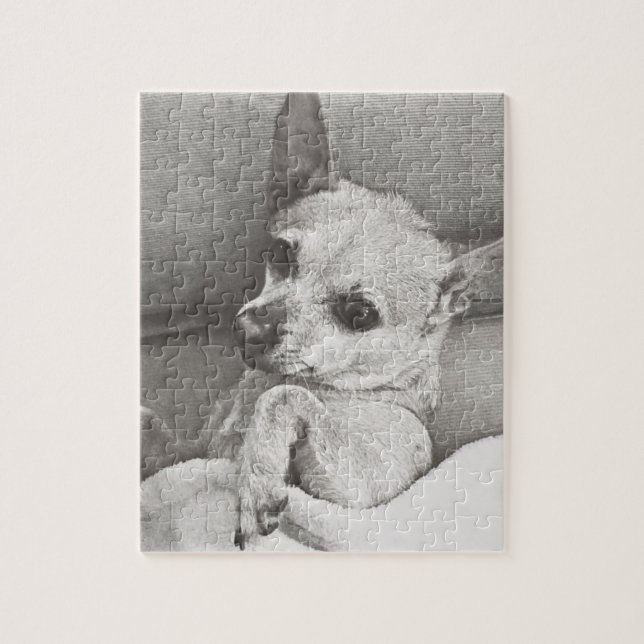 Cosy Chihuahua Puzzle (Vertical)