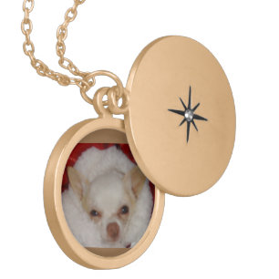 Cosy Chihuahua Round Locket