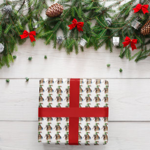 Cosy Christmas Kiwi Wrapping Paper