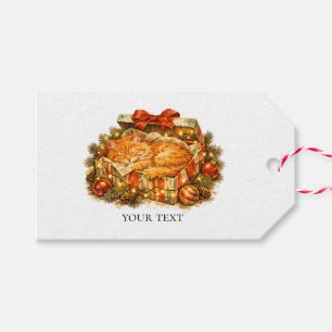 Cosy Christmas Orange Cat Sleeping Gift Box Retro Tags