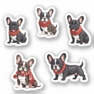 Cosy Christmas Red Scarf French Bulldog Puppy Pack