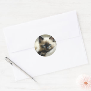 Cosy Companion Siamese Kitten Classic Round Sticker