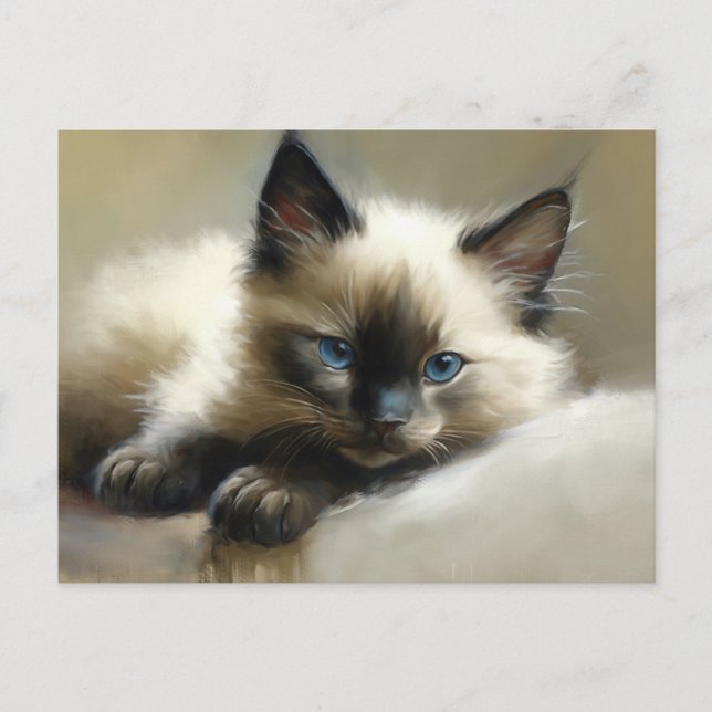 Cosy Companion Siamese Kitten Postcard (Front)