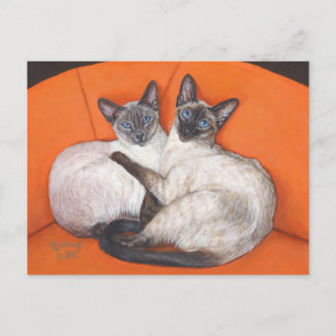 Cosy Couple Siamese Cat Postcard