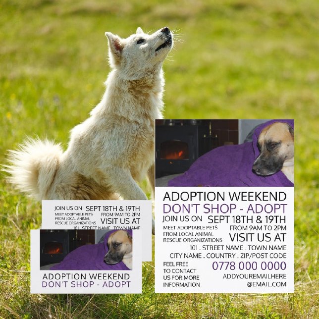 Cosy Dog, Pet Adoption Event Advertising Business Card (Creator Uploaded)