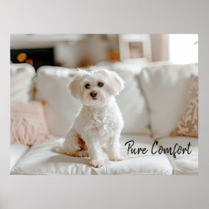 Cosy Elegance: Maltese on the Sofa Poster