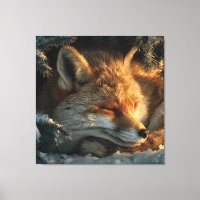 Cosy Fox in Snow