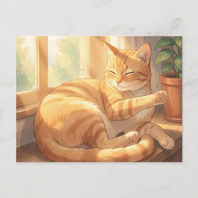 Cosy Ginger Tabby Cat Sunbathing  Postcard (Front)