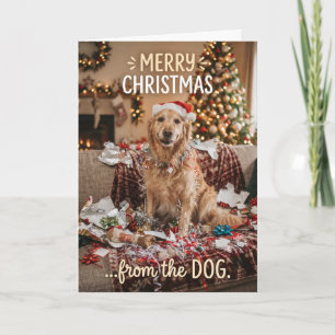Cosy Golden Retriever Christmas Card