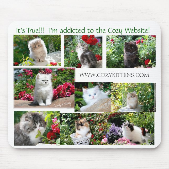 Cosy Kitten Mouse Pad (Front)