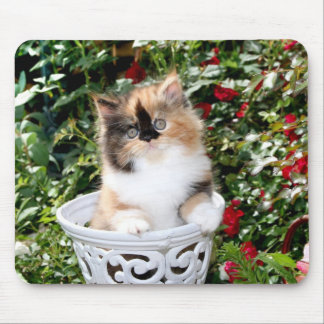 Cosy Kittens Calico Persian Kittens Mousepad