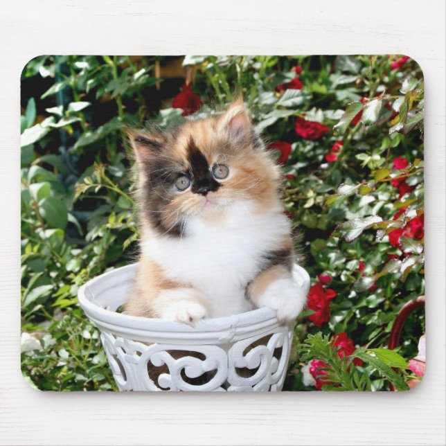 Cosy Kittens Calico Persian Kittens Mousepad (Front)