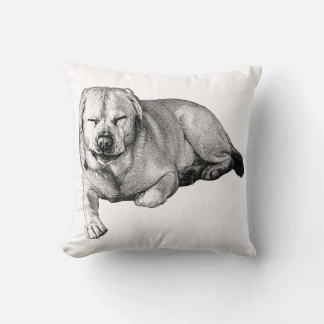 Cosy Lab For the Sofa Cushion (Front)