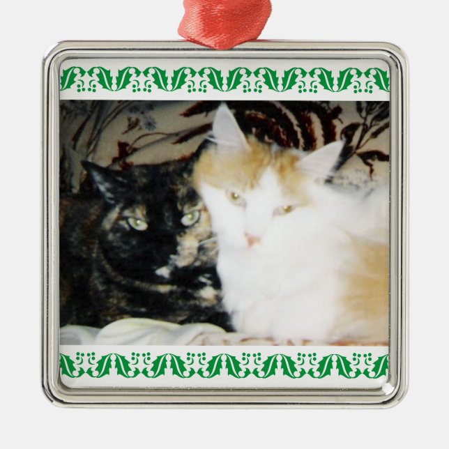 Cosy Photo Two Cats Green Holly Border Metal Tree Decoration (Front)