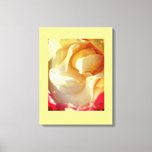 Cosy Rose Canvas Print