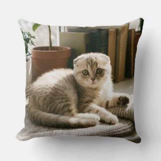 Cosy Scottish Fold Cat Throw Pillow