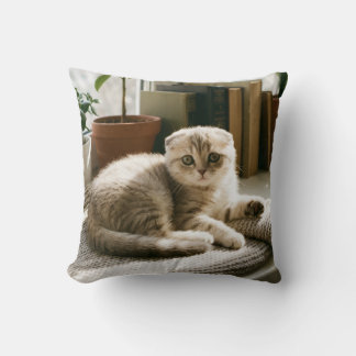 Cosy Scottish Fold Cat Throw Pillow