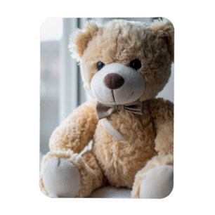 Cosy Sitting Teddy Bear Magnet