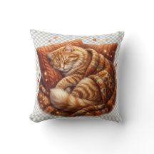 Cosy Sleeping Cat Throw Pillow