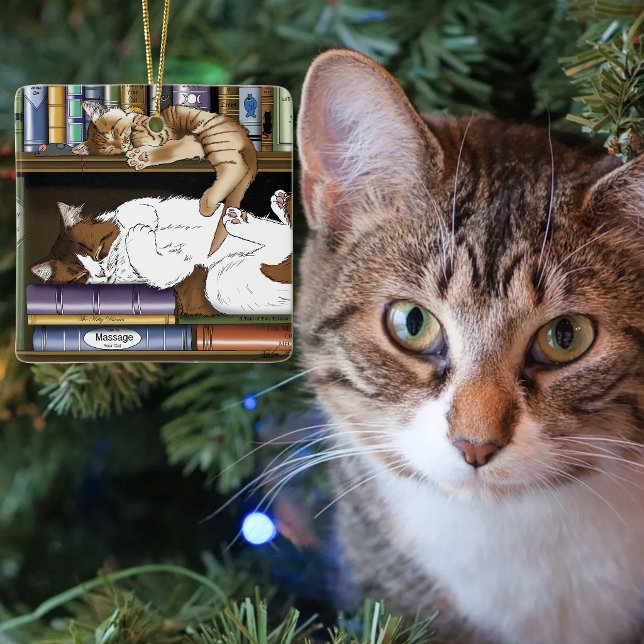 Cosy Sleeping Cats Bookshelf Illustration Cute Ceramic Tree Decoration (Creator Uploaded)